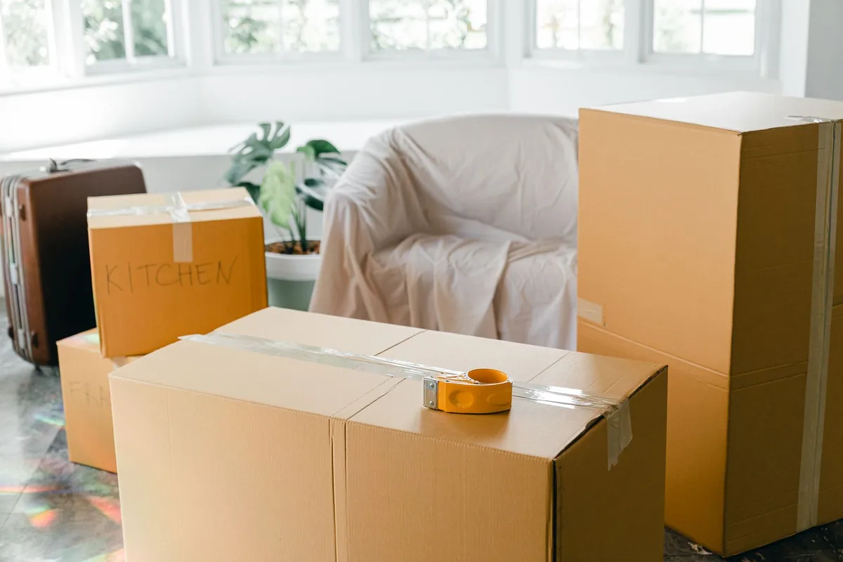 Hoarding Cleanup in Millington, MI